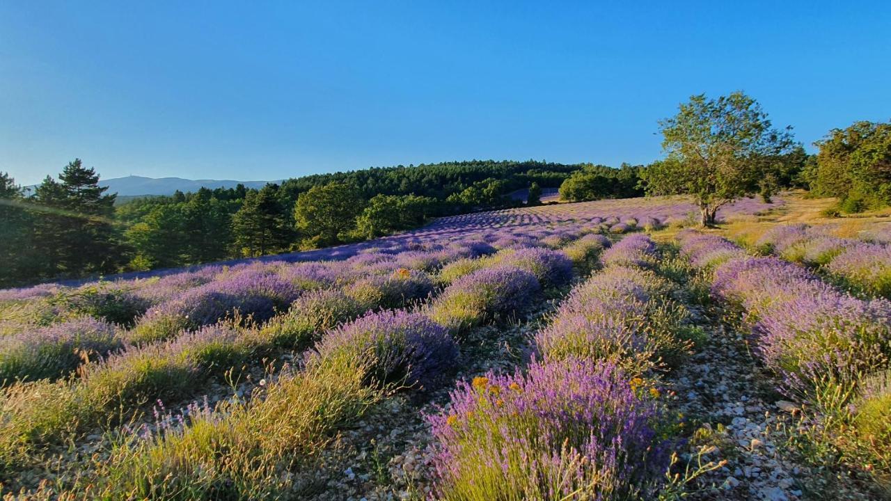 A Ventoux Yourte Monieux Dış mekan fotoğraf