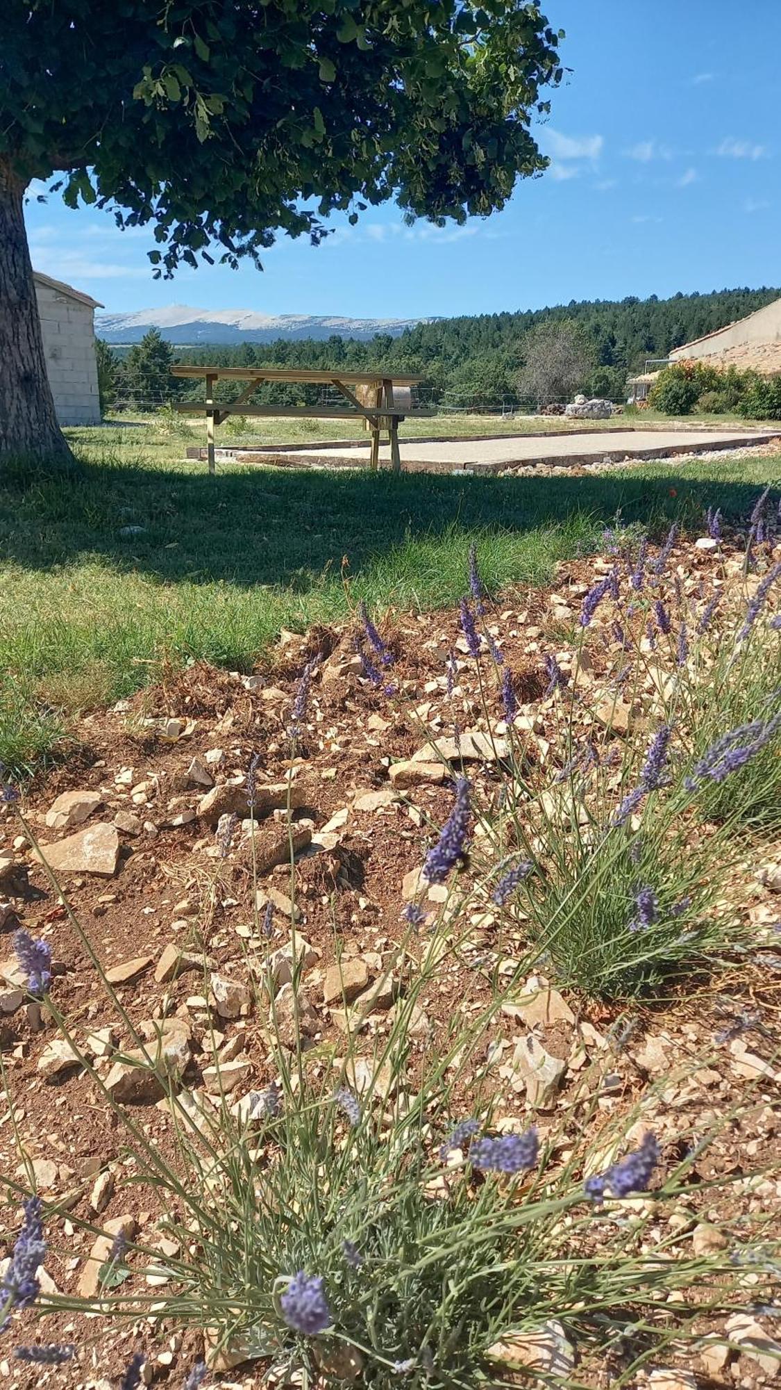 A Ventoux Yourte Monieux Dış mekan fotoğraf