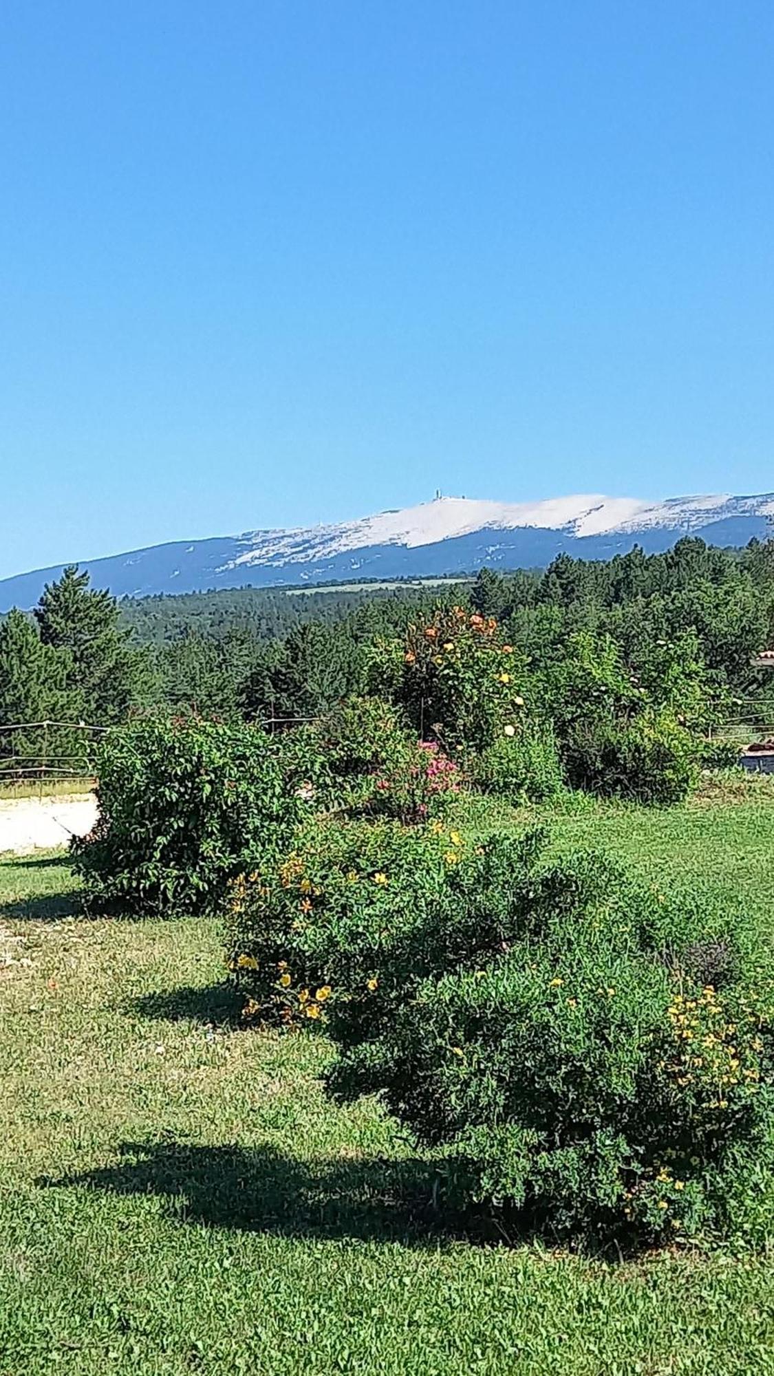 A Ventoux Yourte Monieux Dış mekan fotoğraf